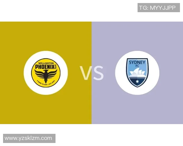 悉尼与惠灵顿凤凰的精彩对决比分揭晓，赛季战况分析与未来展望
